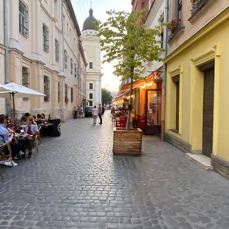 сучасна в центрі львова на вулиці лесі українки 19 Apartmán
